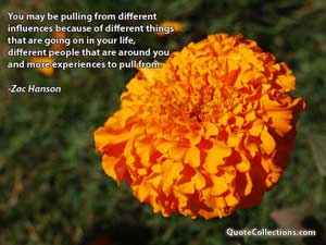 zac_hanson_quotes Quotes 1